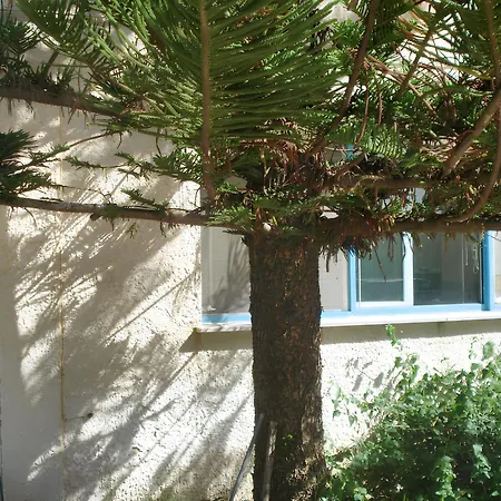 Spacious In 110 M² + Sea View Apartament Granelli